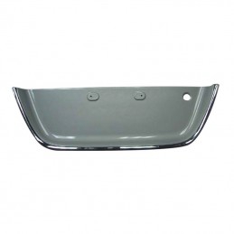 TAIL GATE LICENCE MOULDING